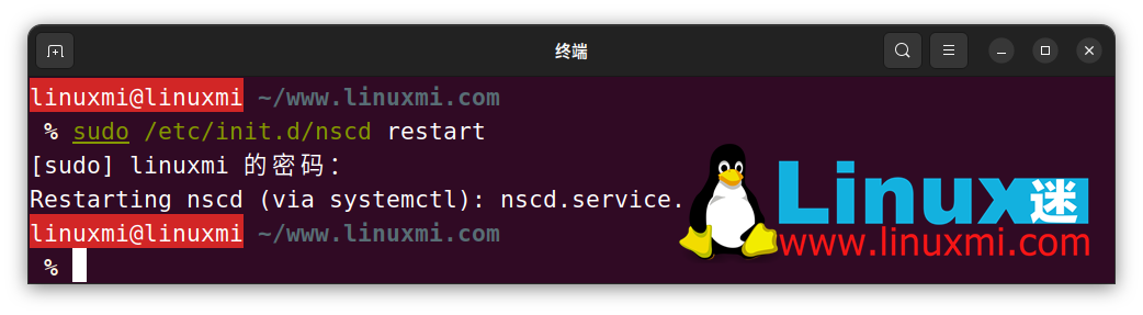 如何在 Linux 上查看和刷新 DNS 缓存
