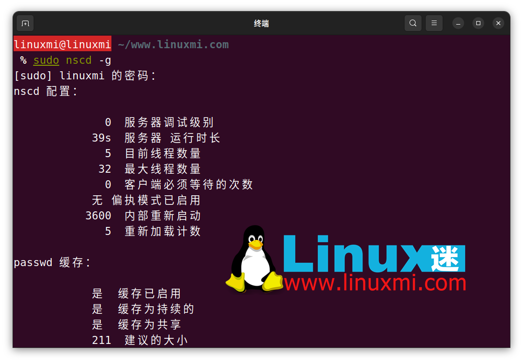 如何在 Linux 上查看和刷新 DNS 缓存
