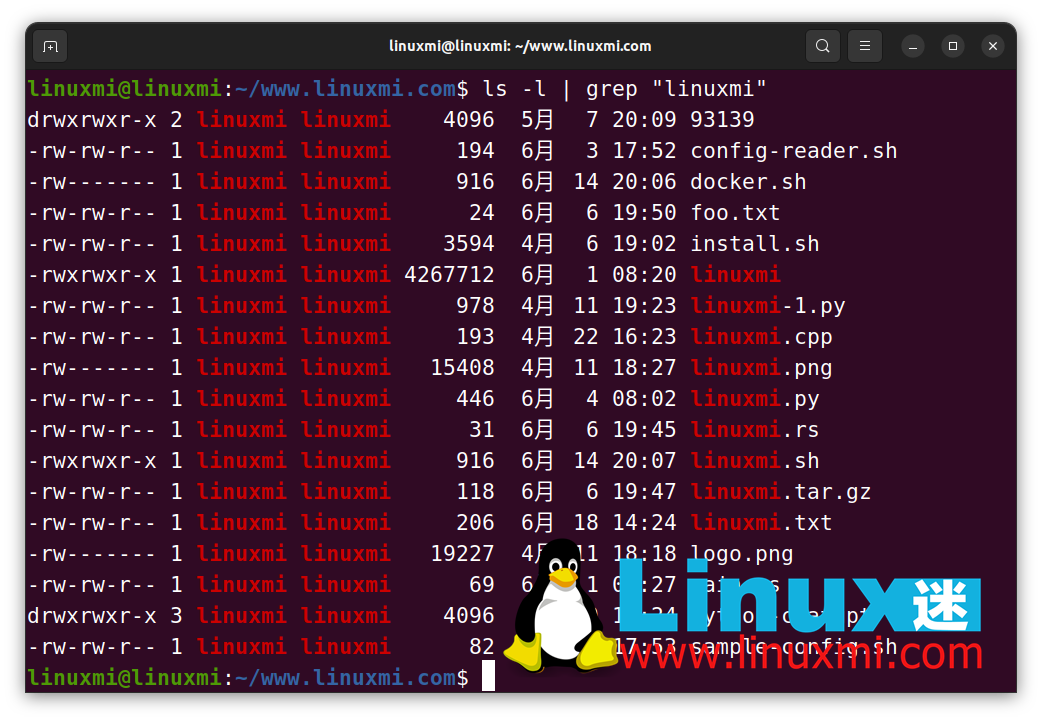 提升你的命令行技能：Bash 和 Linux 符号与命令的完整指南