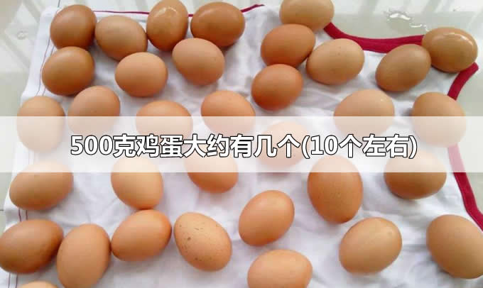 500克鸡蛋大约有几个(10个左右)