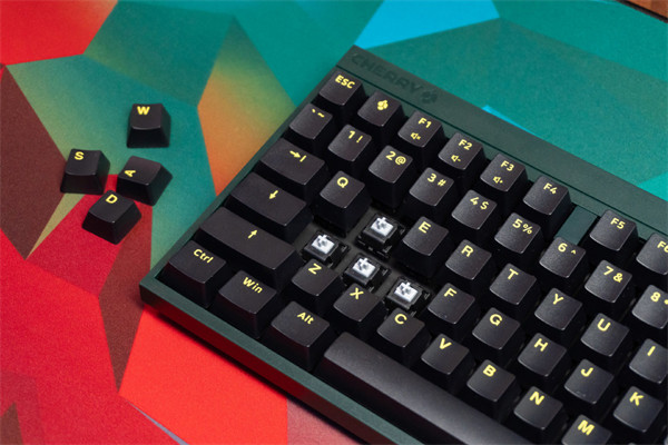 CHERRY MX2.0S 键盘推出全新主题配色：夜鹰和苍穹