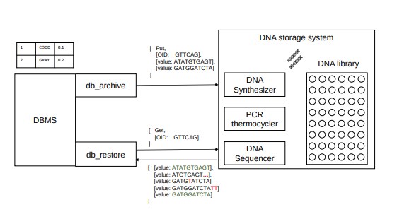 直接在 DNA上执行SQL操作，已通过PostgreSQL 验证