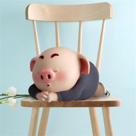 2019猪年猪图片卡通可爱大全 微信朋友圈背景图可爱猪猪