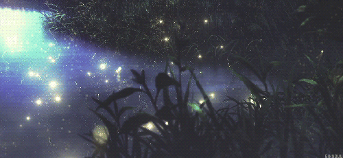 萤火虫之墓动态图片唯美 超好看的二次元图片gif