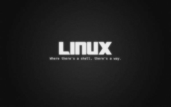 Linux find命令中-exec参数的作用介绍