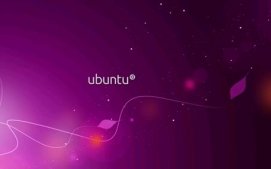 Ubuntu使用集成开发环境QT无法输入中文的解决方法