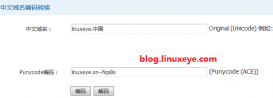 Nginx 中文域名配置详解及实现