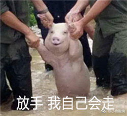 猪猪内心世界搞笑表情包带字 从台风中抢救出来的猪