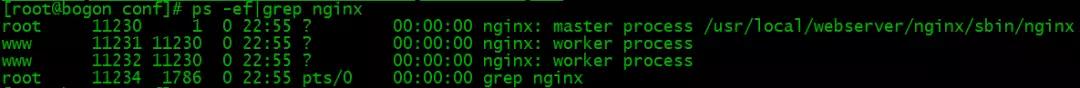 给小白的 Nginx 30分钟入门指南(小结)