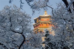 颐和园雪景图片大全真实好看 北京下雪风景图片