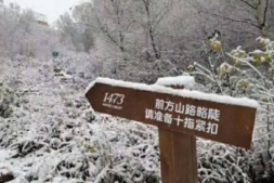 2020关于北京下雪的个性心情说说 2020北京现在下雪了吗
