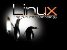 四大妙招让新手逐渐掌握linux系统维护