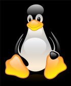 Java开发者需要研究JDK，Linux开发者需要研究Kernel
