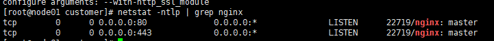 linux下安装Nginx1.16.0的教程详解
