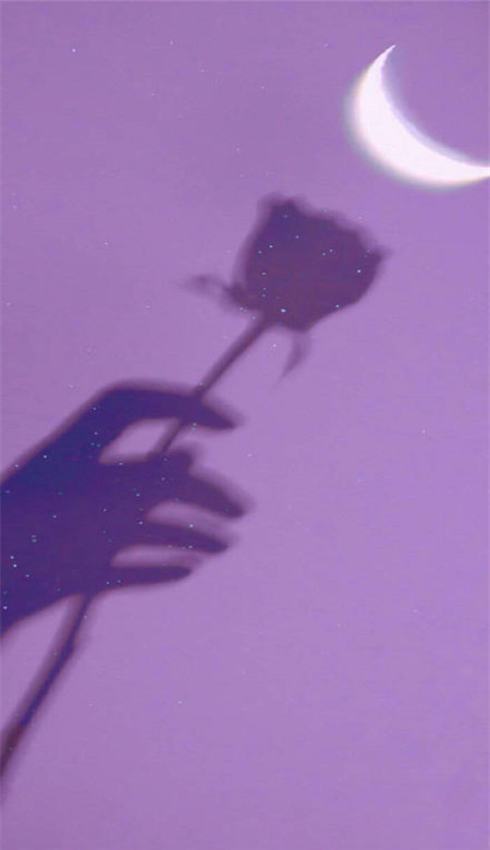 女生手机壁纸紫色唯美 紫色壁纸图片高清无水印