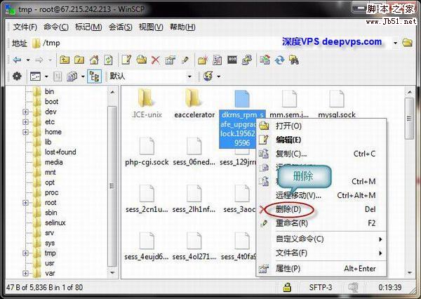 使用 WinSCP 管理 Linux VPS/服务器上的文件 图文教程