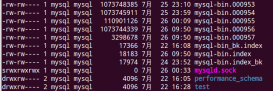 MySQL 启动报错:File ./mysql-bin.index not found (Errcode: 13)