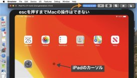 苹果 Xcode 11.4.1 更新：新增 iPhone SE 第二代模拟器