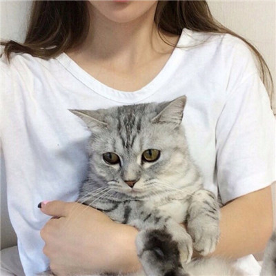 关于抱猫美女头像可爱清纯 2020美女抱猫咪的头像图片