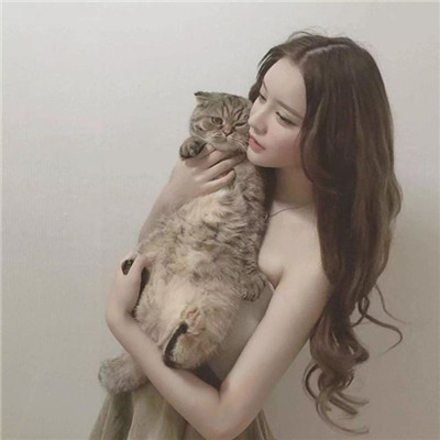 关于抱猫美女头像可爱清纯 2020美女抱猫咪的头像图片