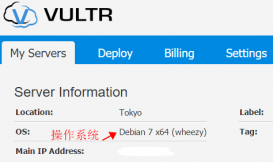 Vultr服务器国内连接速度评测及加速方案推荐