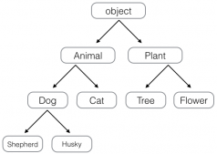 用实例解释Python中的继承和多态的概念