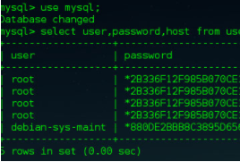 deepin 2014系统下安装mysql数据库的方法步骤