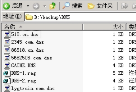 DNS、DHCP的备份恢复bat(批处理自动实现)
