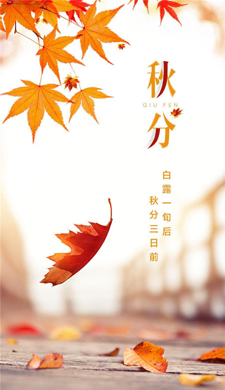 二十四节气之秋分空间壁纸 中国传统节日之秋分