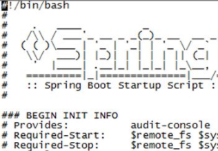 Spring boot部署发布到linux的操作方法
