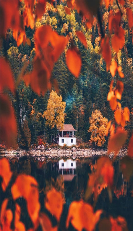 国庆壮丽山河秋季空间壁纸 秋天层林尽染美不胜收