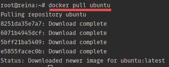 在Ubuntu15.04上安装Docker的步骤以及基本用法