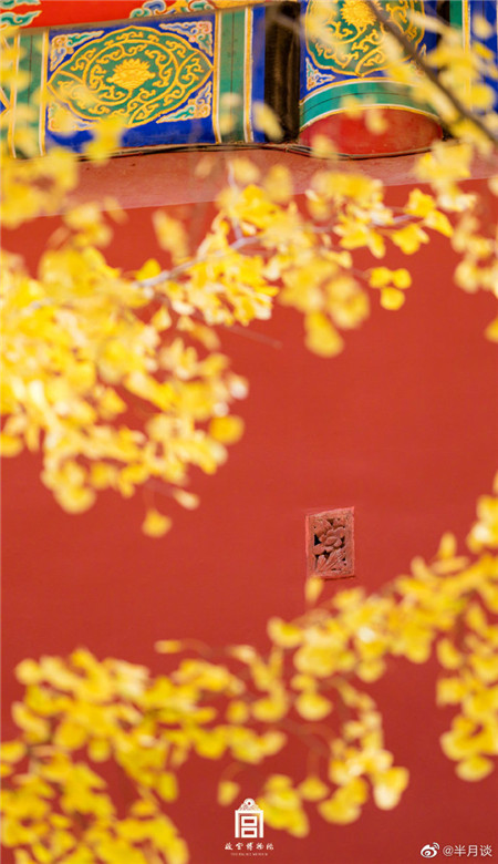 十一月做壁纸的绝美故宫空间图片 好看的故宫银杏美哭了