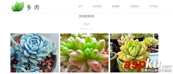 HTML5响应式多肉植物花卉公司企业网站源码