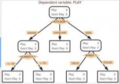 python机器学习之决策树分类详解