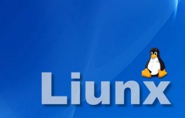 Linux系统下无法卸载挂载的目录怎么办？
