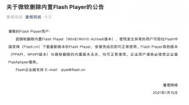 重橙网络：Flash Player 中国官网最新版可解决使用异常的问题