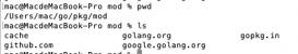 mac下安装golang框架iris的方法