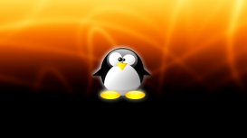 定制你的 Linux 终端外观的 5 项调整