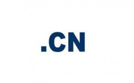 CN域名出现争议后的解决方法(域名知识)