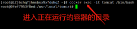 Docker方式启动tomcat访问首页出现404错误