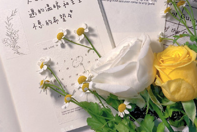 超超超好看的小仙女手机壁纸 祝你我有数不尽的鲜花和浪漫