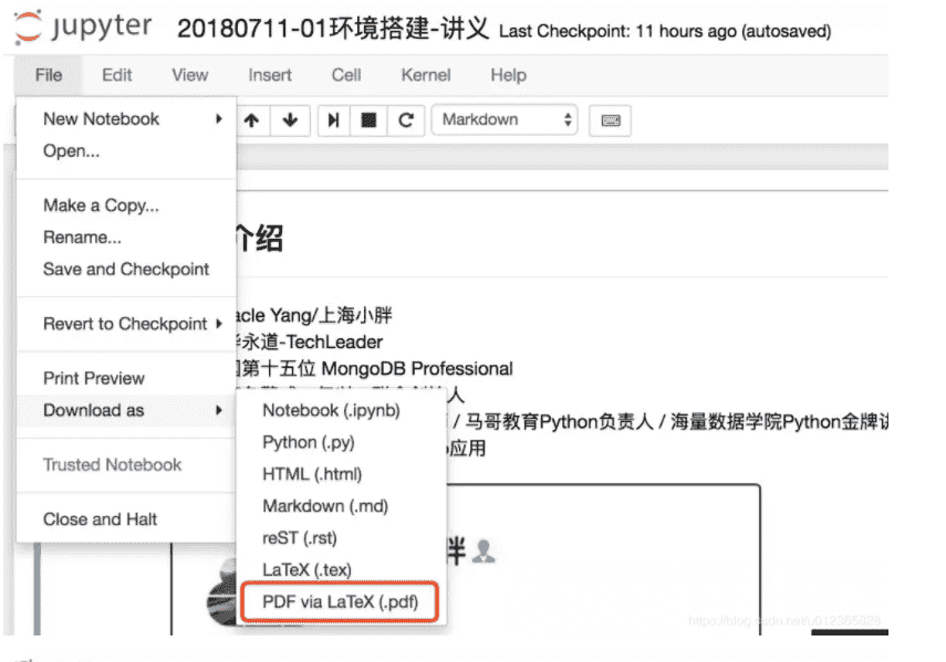 python把ipynb文件转换成pdf文件过程详解