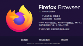 Firefox 91 火狐浏览器正式发布，引入增强型 Cookie 清除