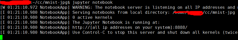 jupyter notebook远程访问不了的问题解决方法