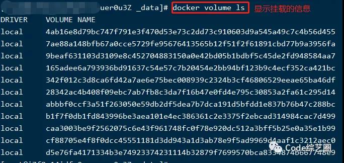 Docker小白到实战之容器数据卷，整理的明明白白