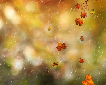 秋雨绵绵的唯美句子朋友圈 秋天下雨的好听文案大全