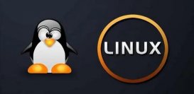 Linux 5.16 将支持 KVM 禁用 AMD PSF 功能