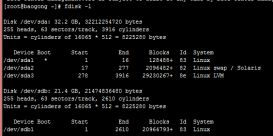 linux服务器磁盘扩容的方法(图)