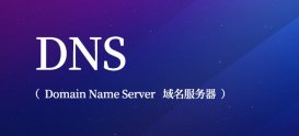 DNS服务器和DNS服务器地址是什么